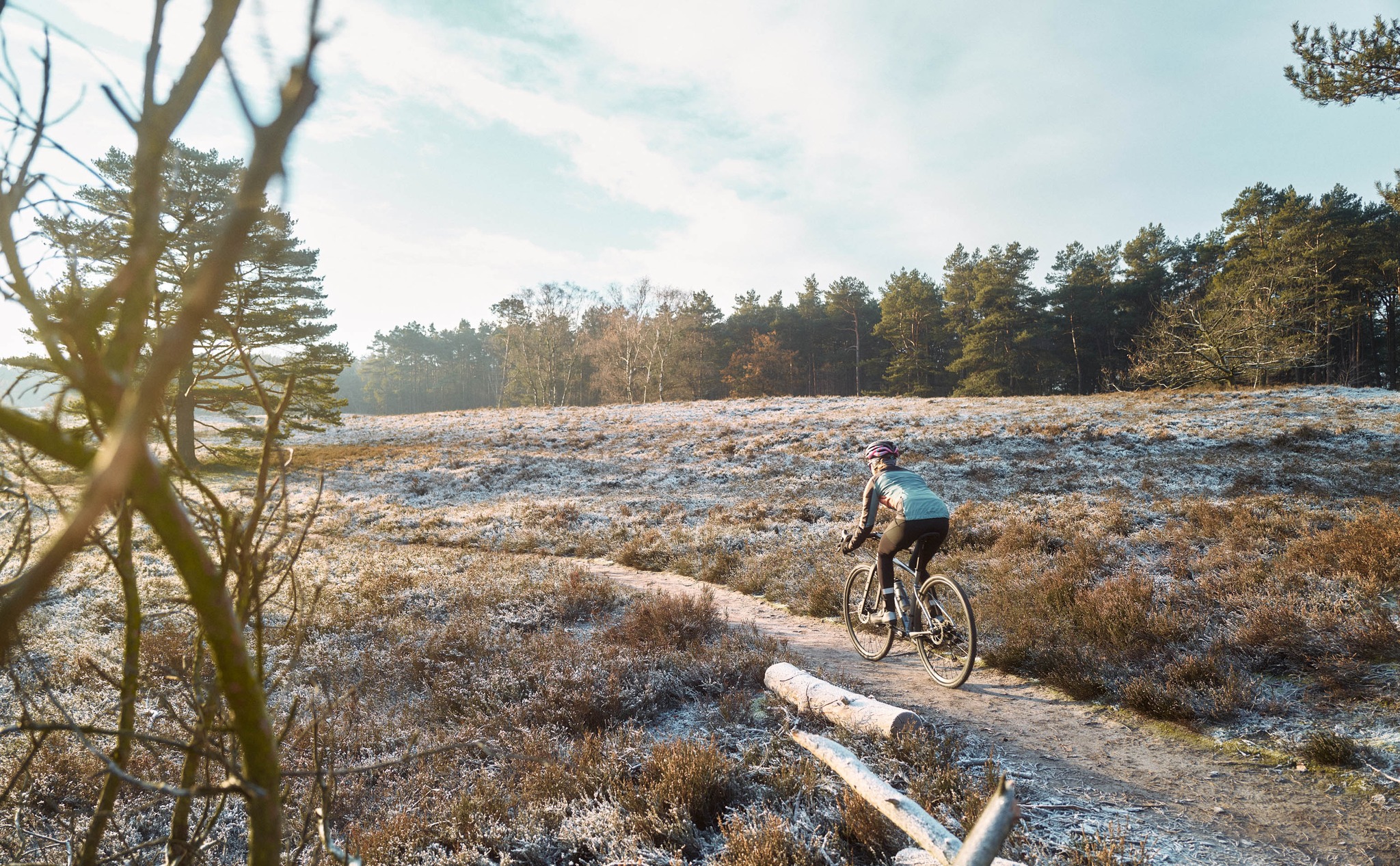 Felt Bicycles Sales -Felt Bicycles Sales 321955993 851562389430367 8421244579456016195 n